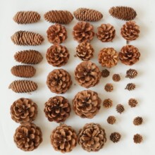 �����F؛���l �ɹ��}�Q�b�Ʒ�������[���Ĕz���߸ɻ���������