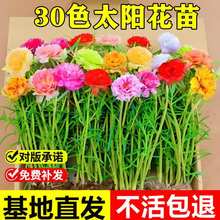 �ذ�̫ꖻ��������֧ɏ���~ĵ�����R�X�{�Gֲ���Ի��ܶ������޸�