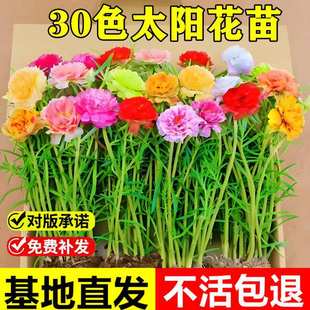 �ذ�̫ꖻ��������֧ɏ���~ĵ�����R�X�{�Gֲ���Ի��ܶ������޸�