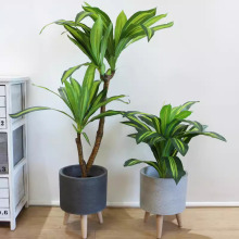 ���������ֲ��͏d��������Lˮ��ؔ��Ƶ��b͏d�k��������