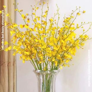 �����m�r�����l��������m�������c�û�ˮ�B���廨�����仨����