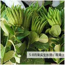 ���r���ָ̎�֦ˮ����ֹ�������r���k������޹�[��ˮ�Bֲ����ζ