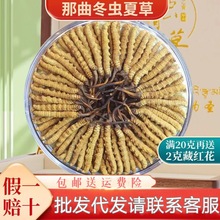 冬虫夏草源头直供西藏那曲虫草干货大断草实力厂家招代理滋补头期