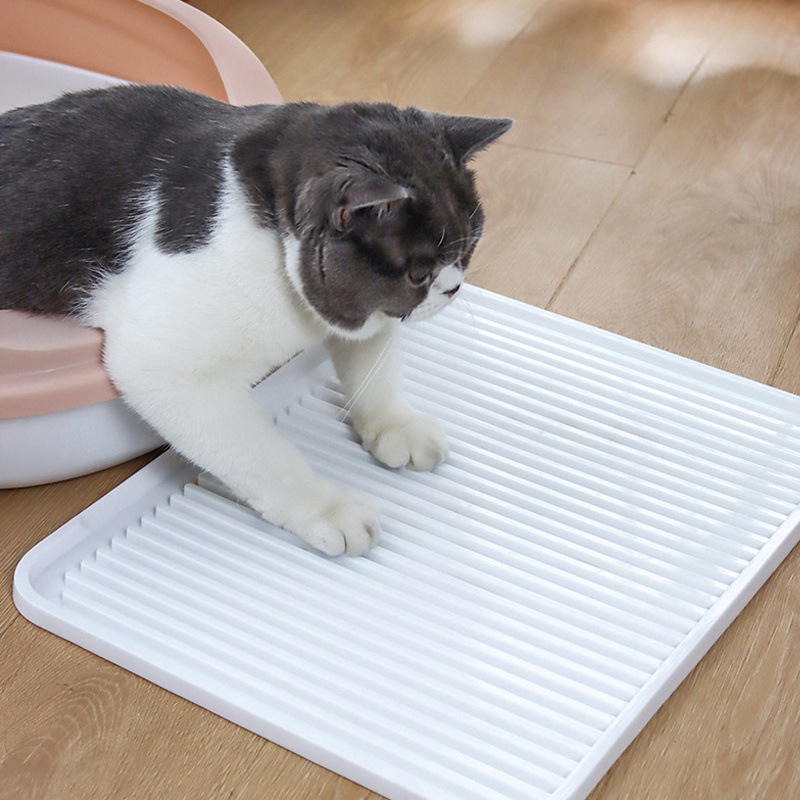 7b8a52cc-9c3f-44e6-b473-6d8888765249.jpe