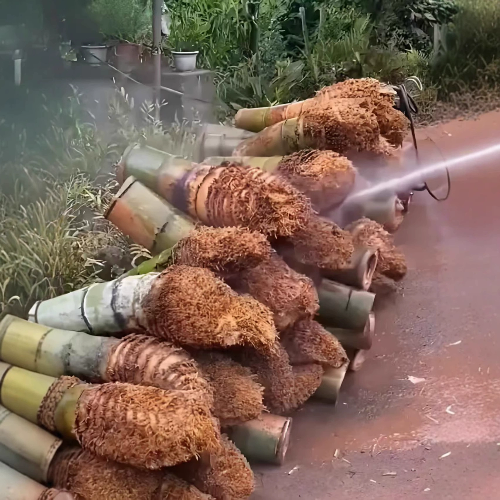 Бамбуковая трубка для риса, паровая рисовая трубка, цельная бамбуковая пароварка, сахарный контролер артефакт, бамбук паровая корзина