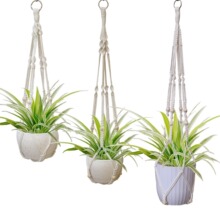 ����W�� �Ҿ��b�ֲ����@�ֹ������޾��K���@ �Ғ컨��S�ҹ���