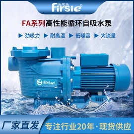 Firsle/法思乐游泳池循环水泵 泳池过滤泵吸污泵循环水处理设备