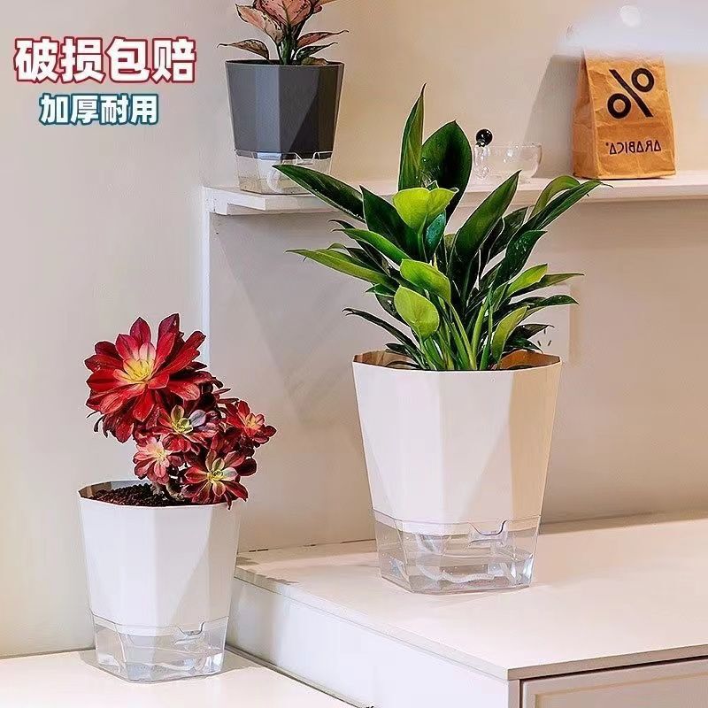 新款免浇水花盆自吸水懒人网红绿萝月季加仑盆塑料阳台兰花多肉盆|undefined