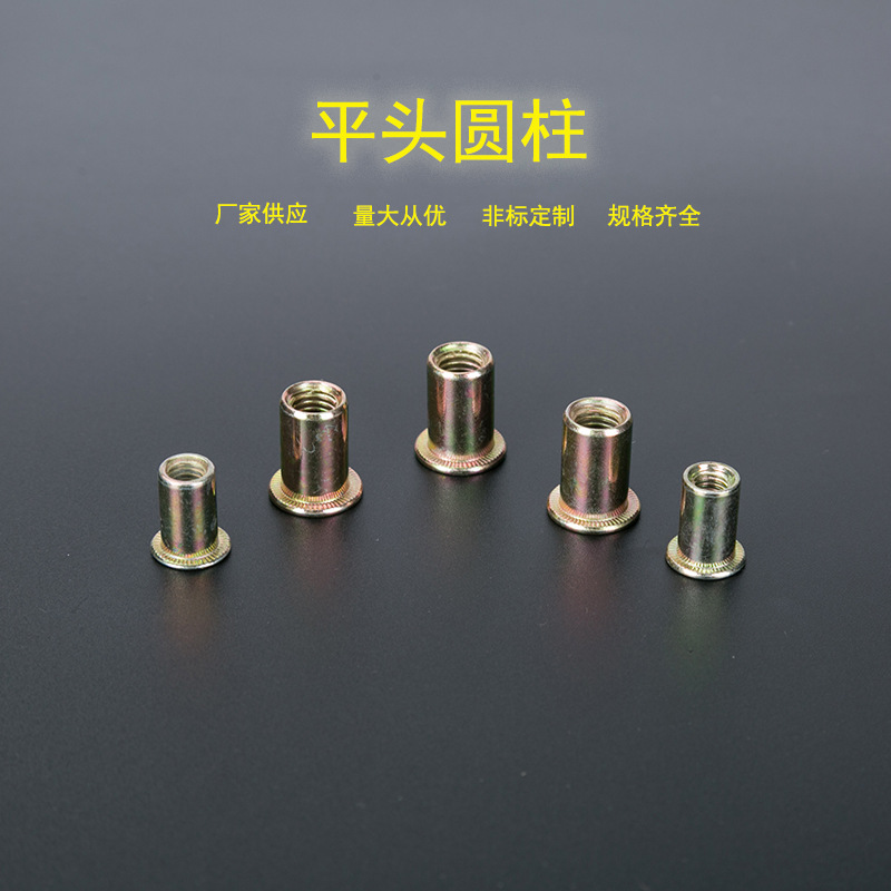 拉铆螺母 平头圆柱铆螺母 光身铆螺母 拉螺帽 量大从优