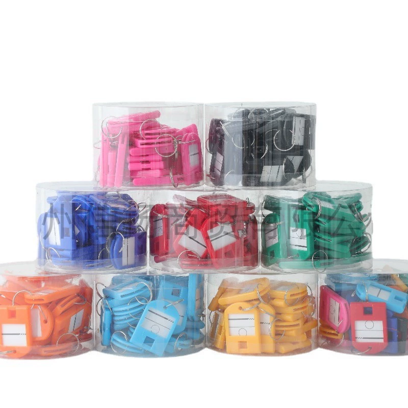 Plastic removable keychain for keys for office