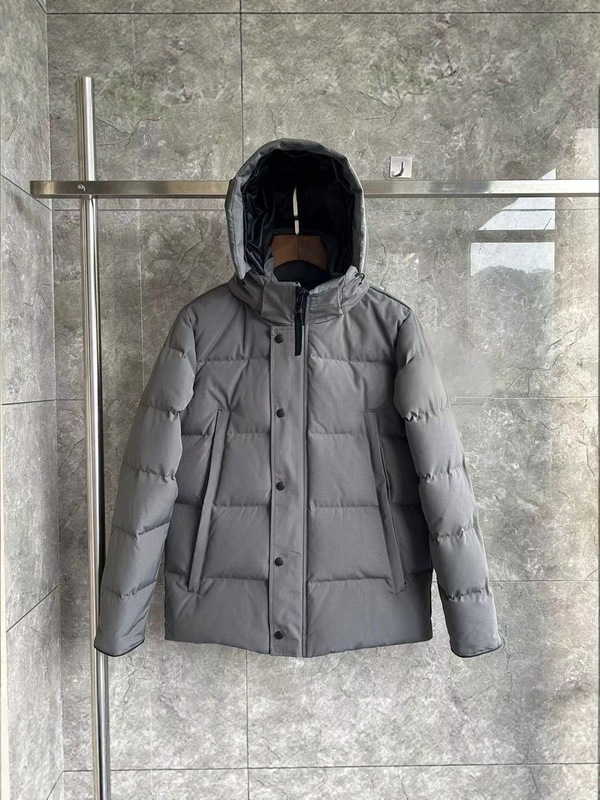 大鹅2048新款连帽白鸭绒羽绒服男女冬季加厚保暖外套简约百搭|undefined