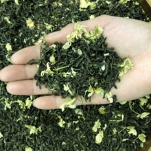 新茶茉莉花茶濃香型綠茶袋裝500克
