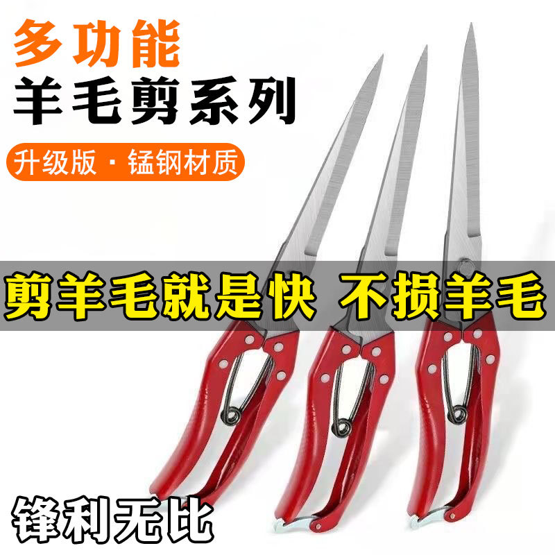 微信图片_20240219161128