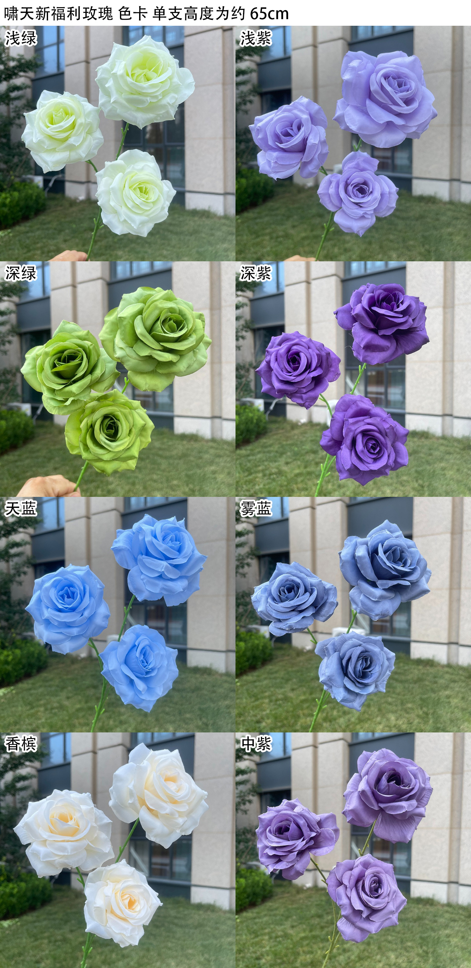 啸天新福利玫瑰 新色卡 2-2.jpg