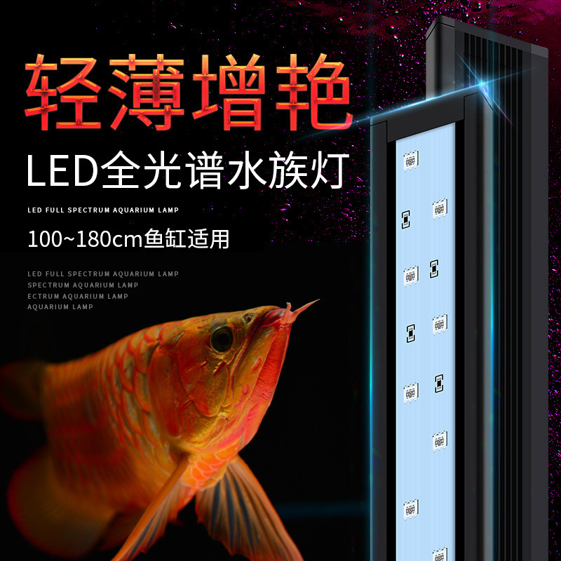 鱼缸水族箱白光照明造景灯龙鱼血鹦鹉灯蓝白全光谱增色鱼灯SZ001|ms