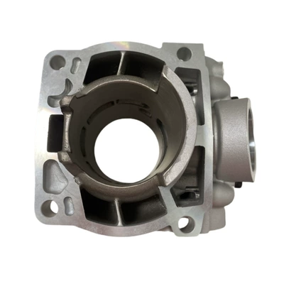 XCW300 EXC 300 – Cylinder and parts
