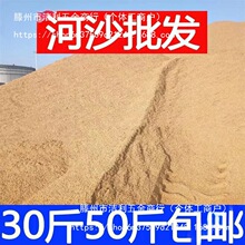 ɳSɳbɳӽBȻZʯɳbЇ