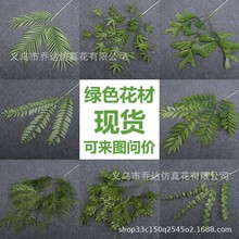 ����Gֲ ��c�ȼ���ާ�~�Gɫ�~�Ӳ廨���Ĵ����Y�b��û�ˇ