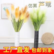 �JȔ�ݻ��ٻ����ϔ[�O�͏d�b��҃���ؾGֲ���쾰��β�Ϳ羳���l