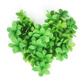 �W�t������R�~�� �Gֲ�b�DIY���~�ӆ�Ƭ�z���Gɫ�Ҿӈ@���b��~