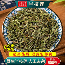 半枝莲草药500g头茬半枝莲中药材另售百白花蛇舌草新货半枝莲