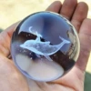 Carved ball dolphin girl