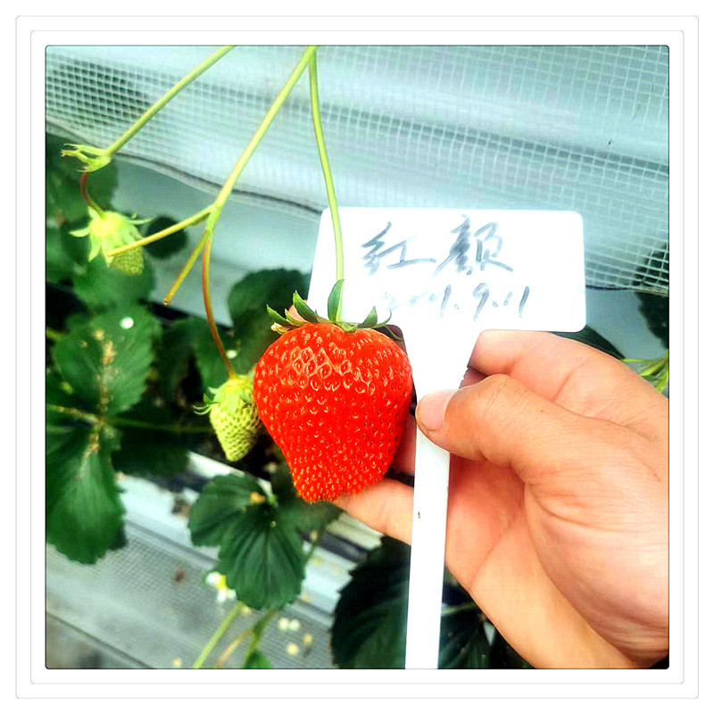 7c029e5befb52c2bb7700a39d99a8f