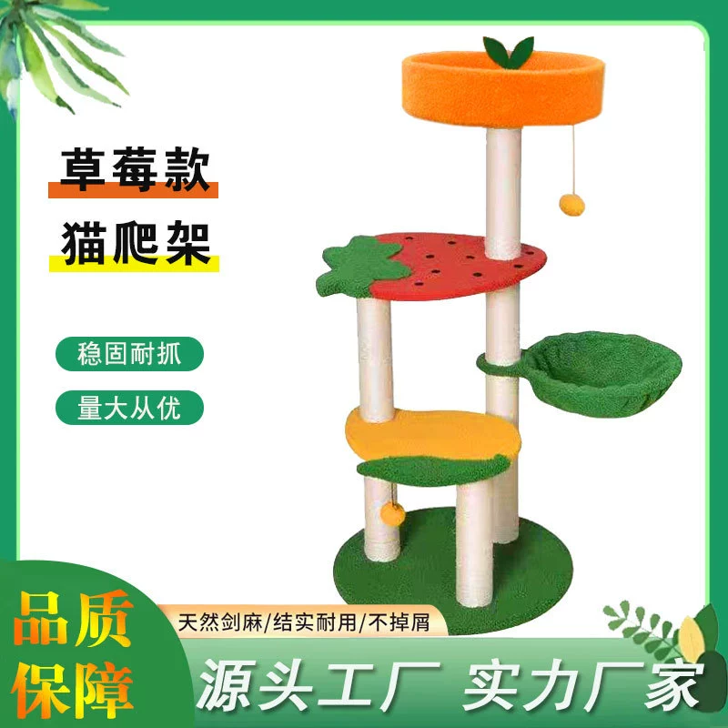 Strawberry, climbing frame, toy, cat