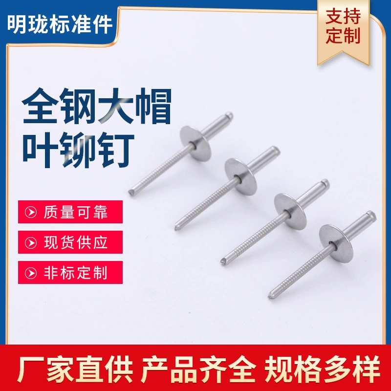 Производители производят цельностальные большие крышки заклепки лист 304 заклепки из нержавеющей стали обработки большой крышки обода тянуть заклепки