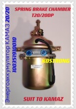 �S��ֱ�N���_˹����˹�ƄӚ���T20/20DP KAMAZ 100-3519100-10