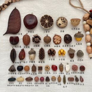 �͹ż���Ȼֲ������u��ֹ�����ƽ����������DIY�朒���L�