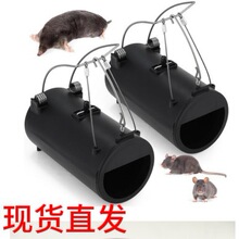 Black Hole Gopher ��@�˵؅^�B�������b�������岶׽��������