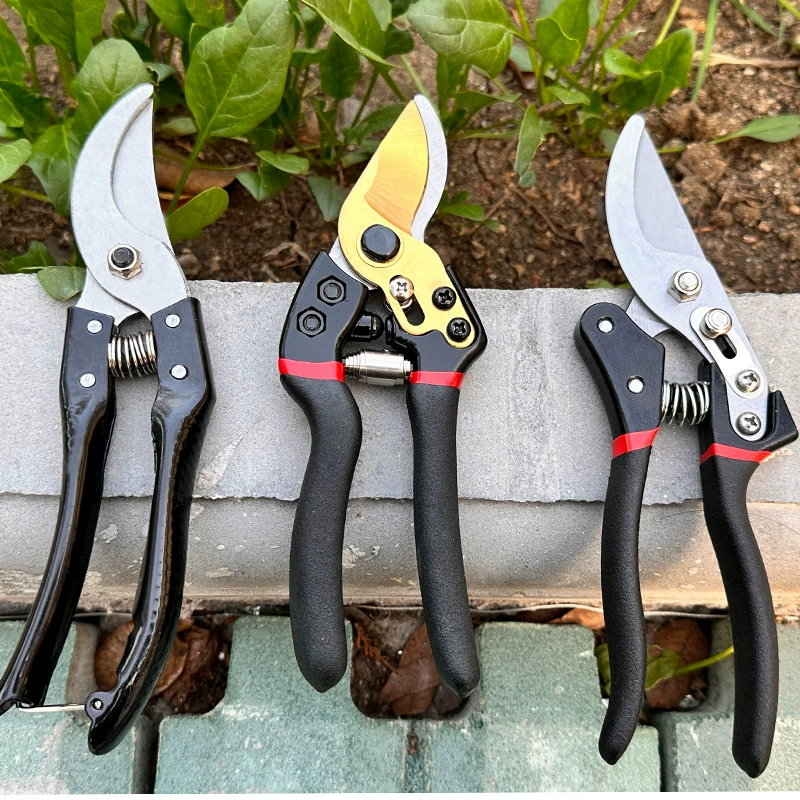 Оптовые ножницы для обрезки фруктовых деревьев, садовые ножницы, секаторы из марганцевой стали 65 V8V9, ножницы с роликом, ножницы для обрезки плодовых веток, ножницы «Золотой орёл»