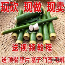 ���ӻ����[�ؔ����w��Ͳ���r���Ͳ��Ͱ����Ͳë���r��Ͳ����̫��