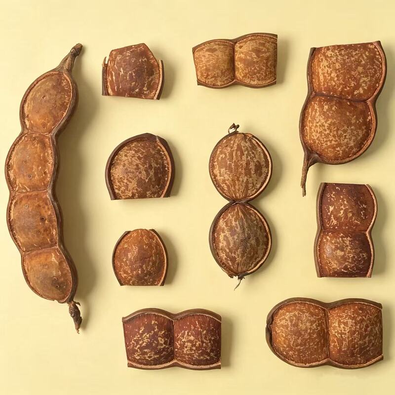 Soybean Pod Doll Handmade DIY Material Kit Soybean Pod Handmade Crafts Bean Pod Doll Raw Materials