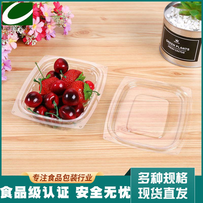 沙拉盒水果蔬菜透明包装塑料一次性打包外卖便当烘焙面包长菁|ms