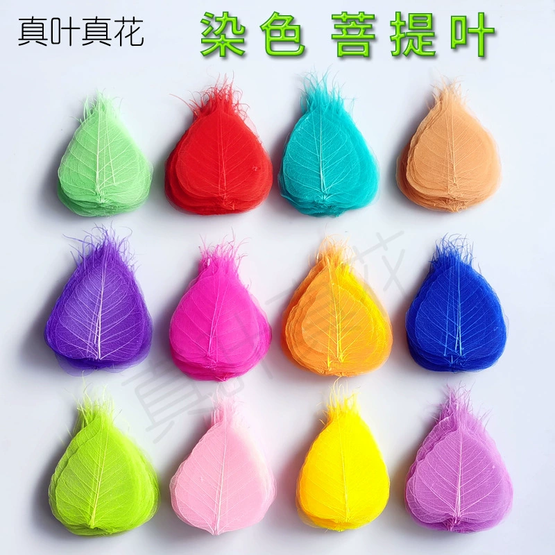 Настоящие листья настоящие цветы Натуральные листья Бодхи жилы окрашенные цветные дети студенты DIY материалы ручной работы сухие цветочные наклейки