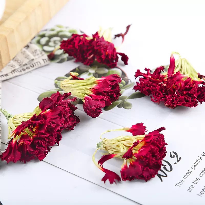 Dried Carnation Flower Tea Kang Nai Xin 500g Yunnan Herbal Floral Tea for Blending and Daily Infusions key features
