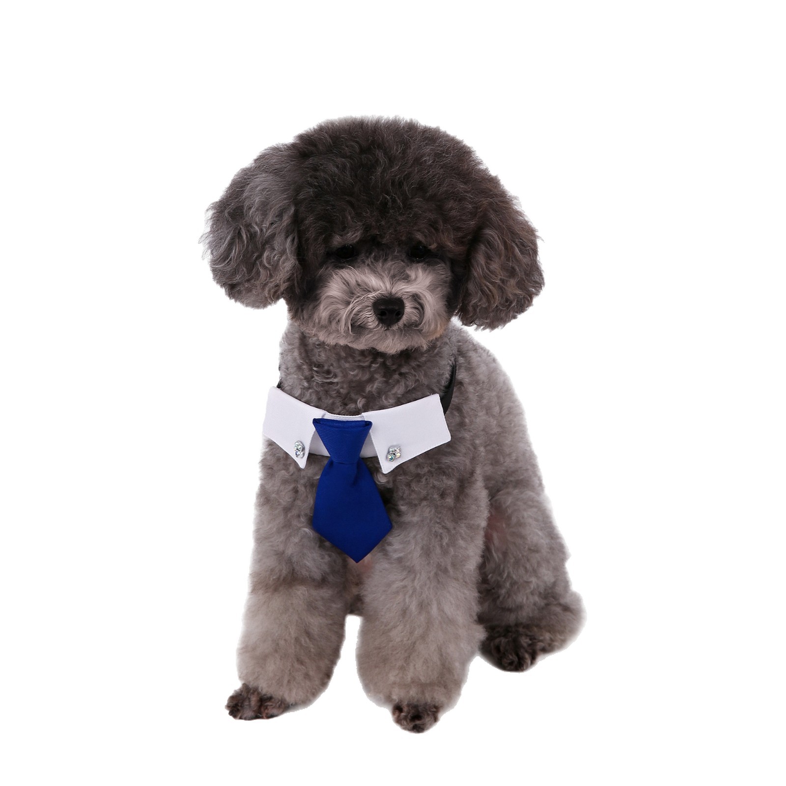 Perro transfronterizo estilo británico guapo traje de boda ropa de perro corbata collar decoración al por mayor