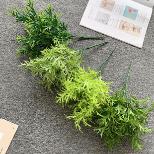 GֲĲ廨ğᎧֲˮݰb5氬~ݾGb