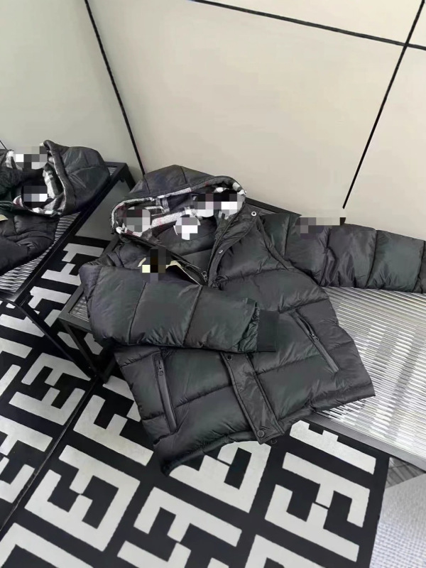 2025爆款马甲家新款羽绒服新款保暖外套季潮流白鸭绒|undefined