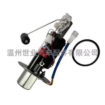 Source Factory Spot Oil pump, nozzle