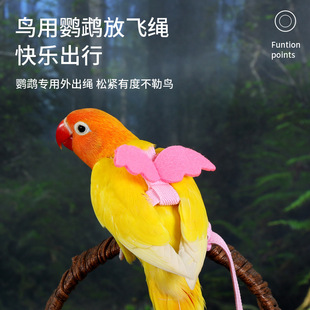 �B���W�^���w�K���P��Ƥĵ�������K�w������������B������Ʒ���