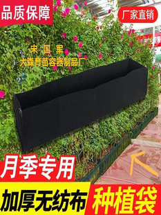 �L���κ�ɫ�Ӻ�o������ֲ���G�h�h�ʴ�ֲ���������r��