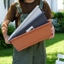 ���� ��ͥ�̨�N�˷N���L���ηNֲ�۷N���� ���������ϻ������l