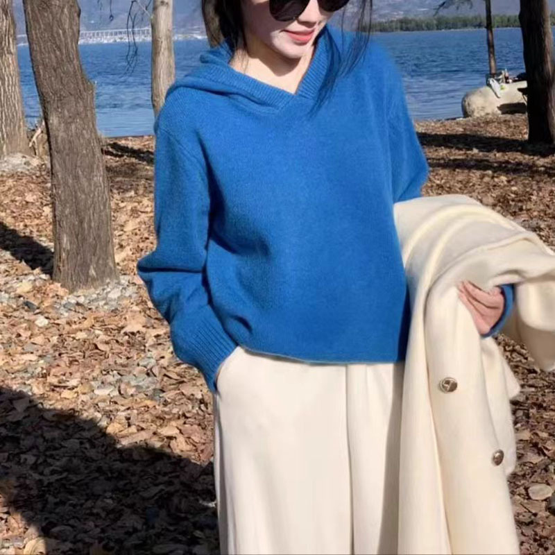 Autumn and Winter Hooded Knitwear for Women, Korean Style New Style, Women's Outer Wear and Inner Wear, Woolen Tops, Lazy Loose Pullover Sweaters