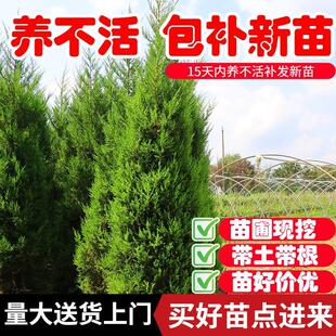 �ؘ�����ɰ؂Ȱر�����ؘ����A���ɘ䌚�����������ļ�������