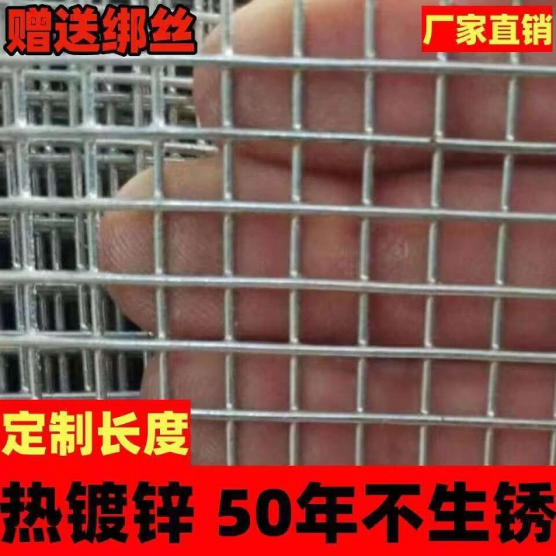热镀锌防锈鸡笼养殖网铁丝网防鼠钢丝网围栏阳台防护网加粗超硬YT