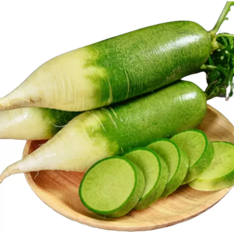 山东潍坊水果萝卜整件包邮产地直发水果青萝卜一件代发
