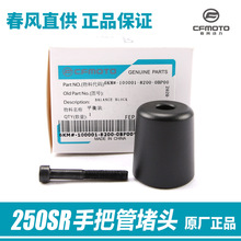 ԭ�S���LĦ��܇250SR�ְѹ�ƽ��K��ˤ���^�ݽzƽ���F��������